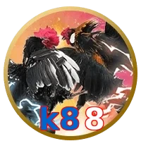 k88
